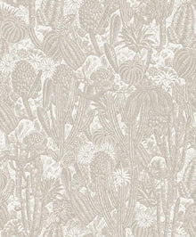 HAV202 Cactus Oyster Wallpaper by Masureel