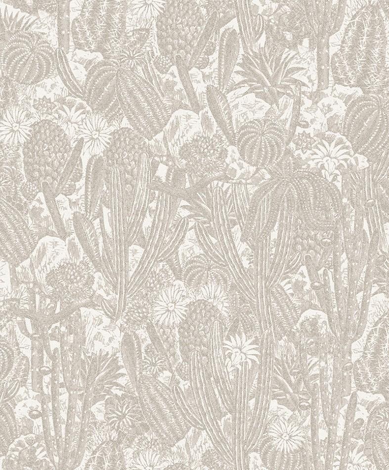 HAV202 Cactus Oyster Wallpaper by Masureel