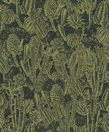 HAV204 Cactus Iguana Wallpaper by Masureel