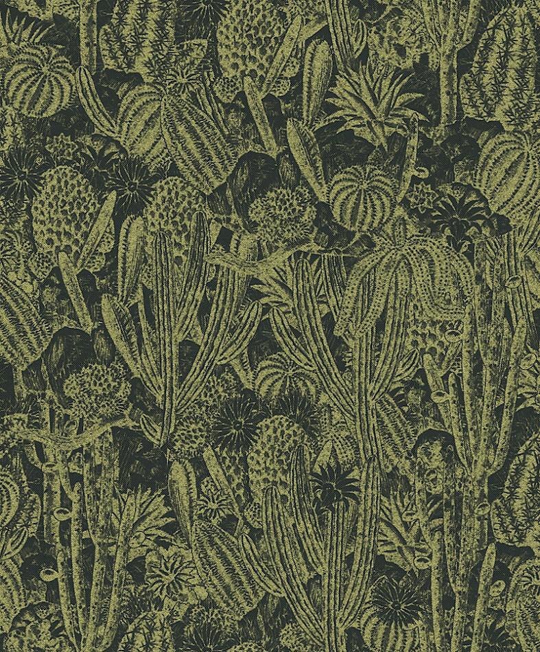 HAV204 Cactus Iguana Wallpaper by Masureel