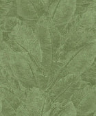 HAV302 Juan Iguana Wallpaper by Masureel