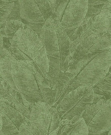 HAV302 Juan Iguana Wallpaper by Masureel
