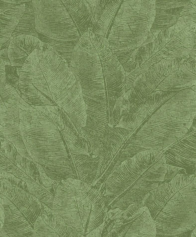 HAV302 Juan Iguana Wallpaper by Masureel
