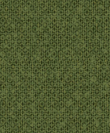 HAV502 Ada Iguana Wallpaper by Masureel