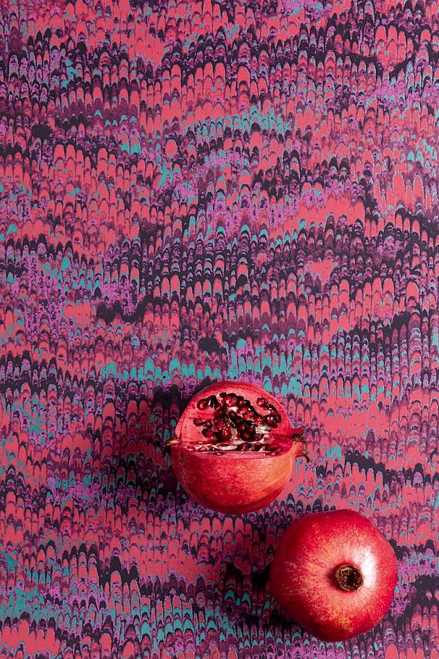 HAV802 Eduardo Viola Wallpaper by Masureel