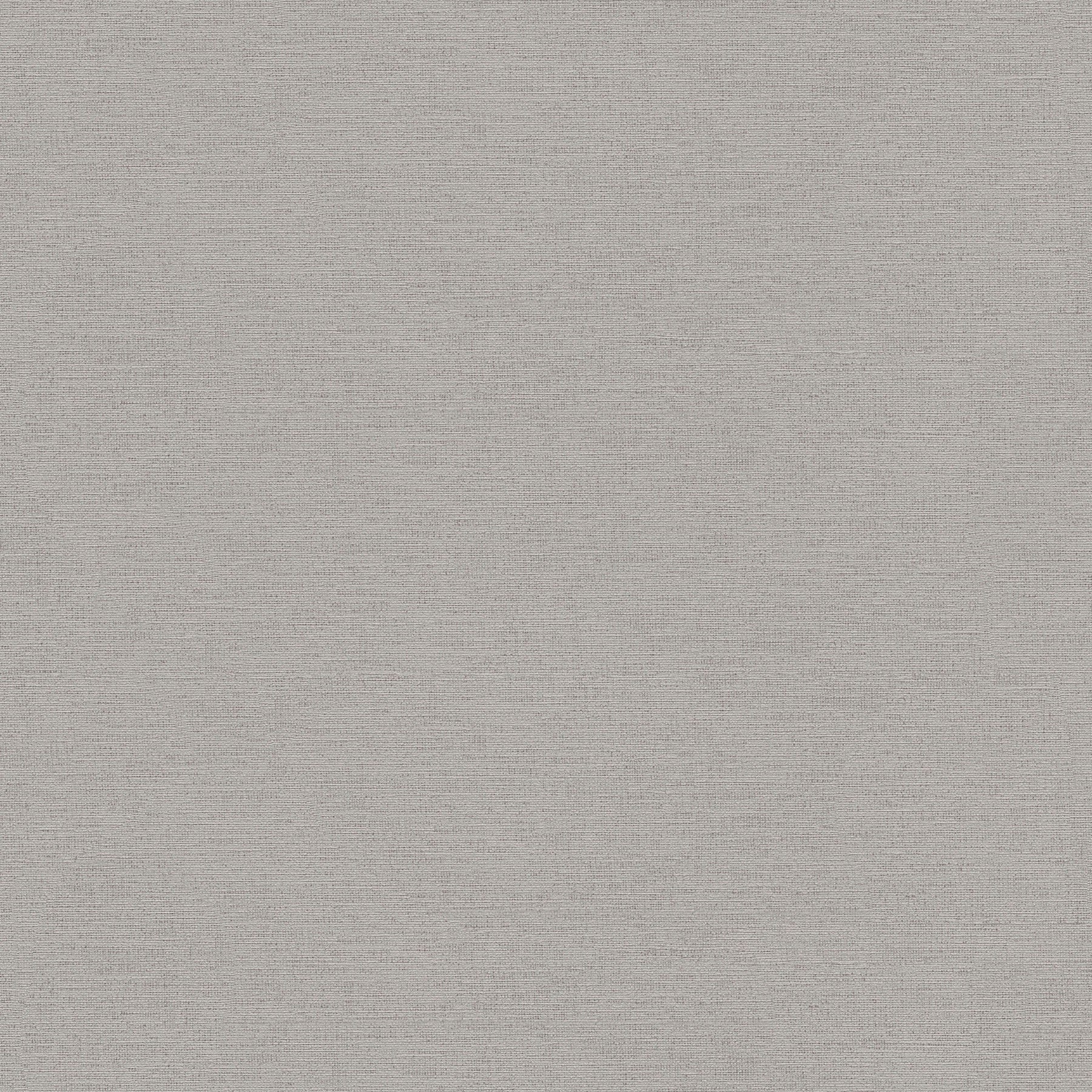 Plain Texture Silver Grey Havana 2 Wallpaper by Galerie