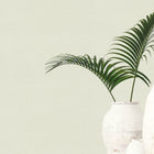 Plain Texture Green Hygge Home Wallpaper by Galerie