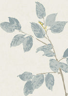 Lewis & Wood Wide Width Beech Bluegrass W236506 Wallpaper