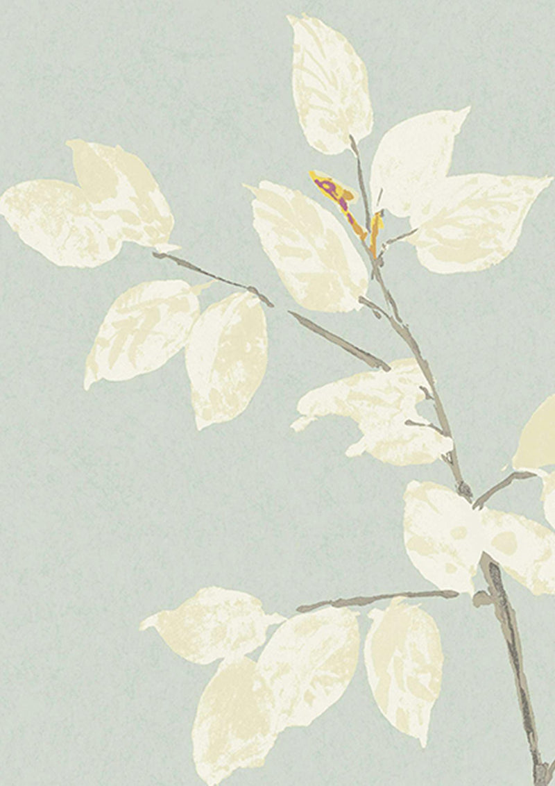 Beech Cirrus Wide Width Wallpaper By Lewis & Wood