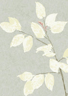 Beech Dove Wide Width Wallpaper By Lewis & Wood