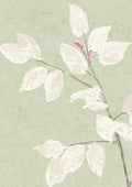Beech Jade By Lewis & Wood