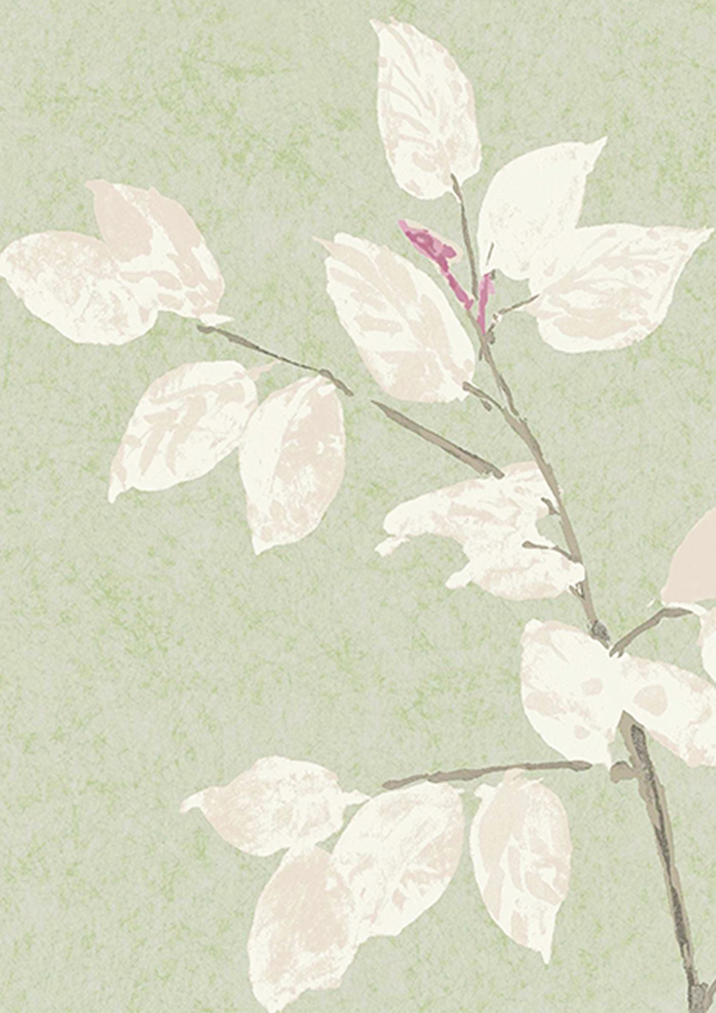 Beech Jade Wide Width Wallpaper By Lewis & Wood
