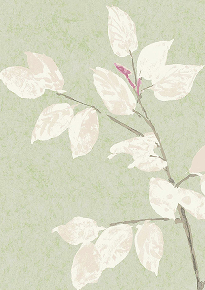 Beech Jade Wide Width Wallpaper By Lewis & Wood