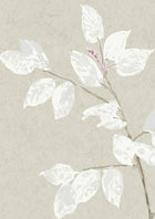Beech Linen Wide Width Wallpaper By Lewis & Wood