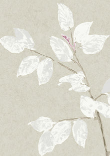 Beech Linen Wide Width Wallpaper By Lewis & Wood
