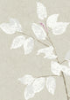Beech Linen Wide Width Wallpaper By Lewis & Wood