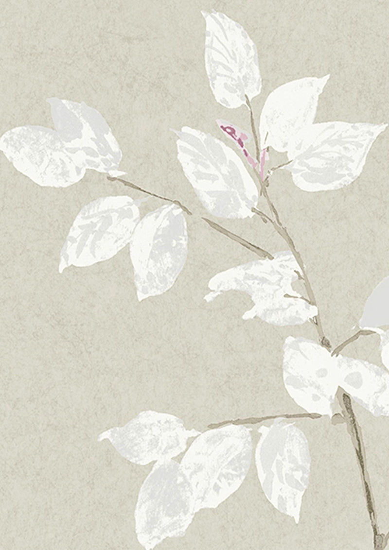 Beech Linen Wide Width Wallpaper By Lewis & Wood