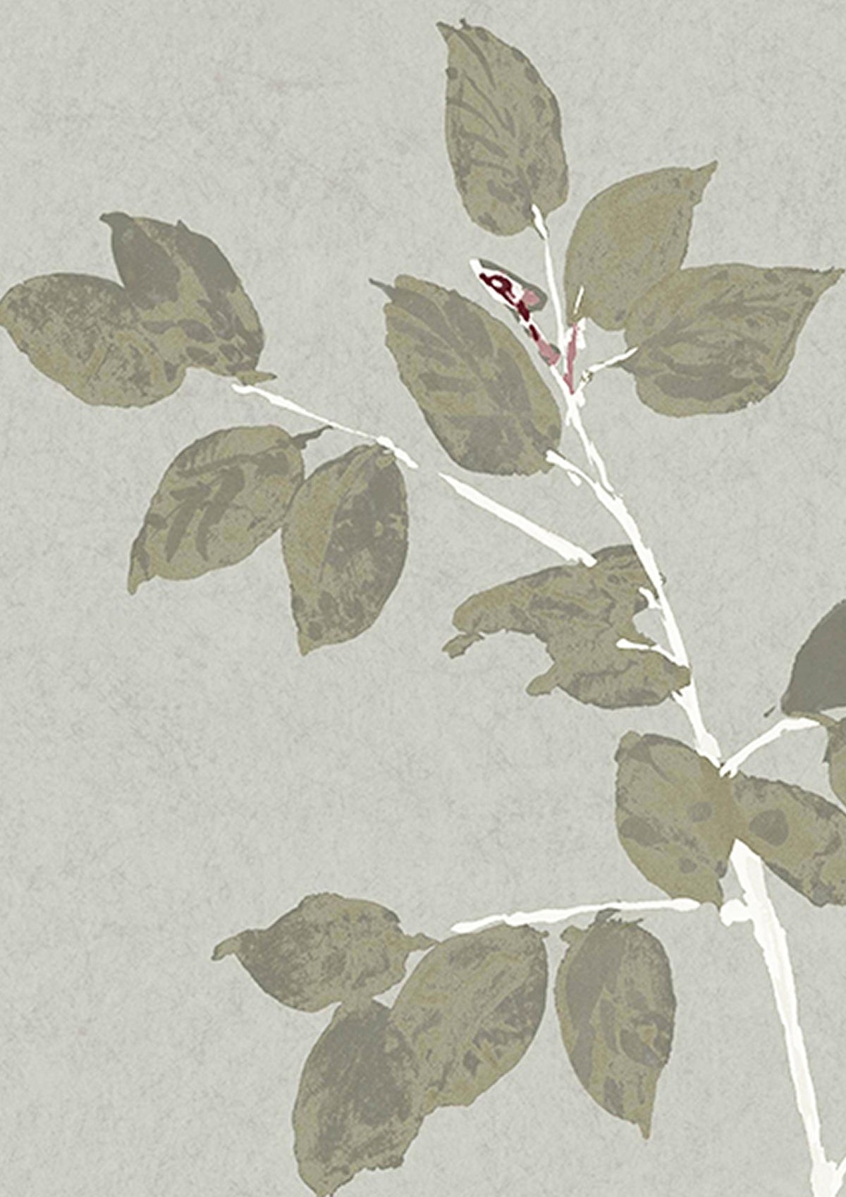 Beech Silverstone Wide Width Wallpaper By Lewis & Wood