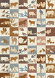 Farm Friends Document Patchwork Fabric by Lewis & Wood