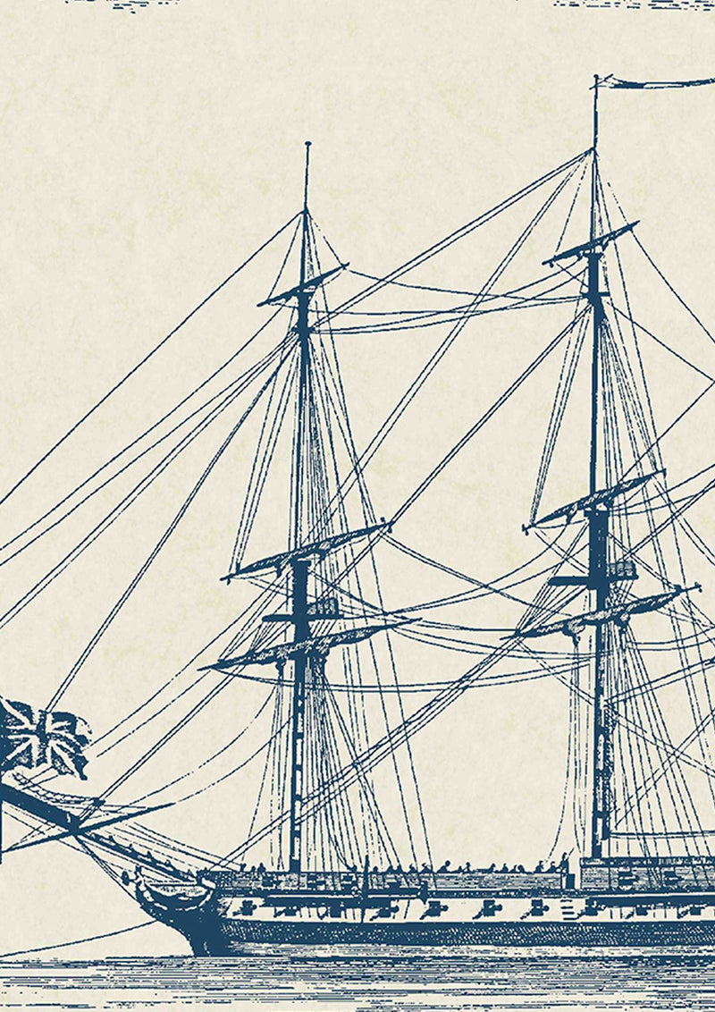 LW 75 89 Maritime Navy Wallpaper by Lewis & Wood