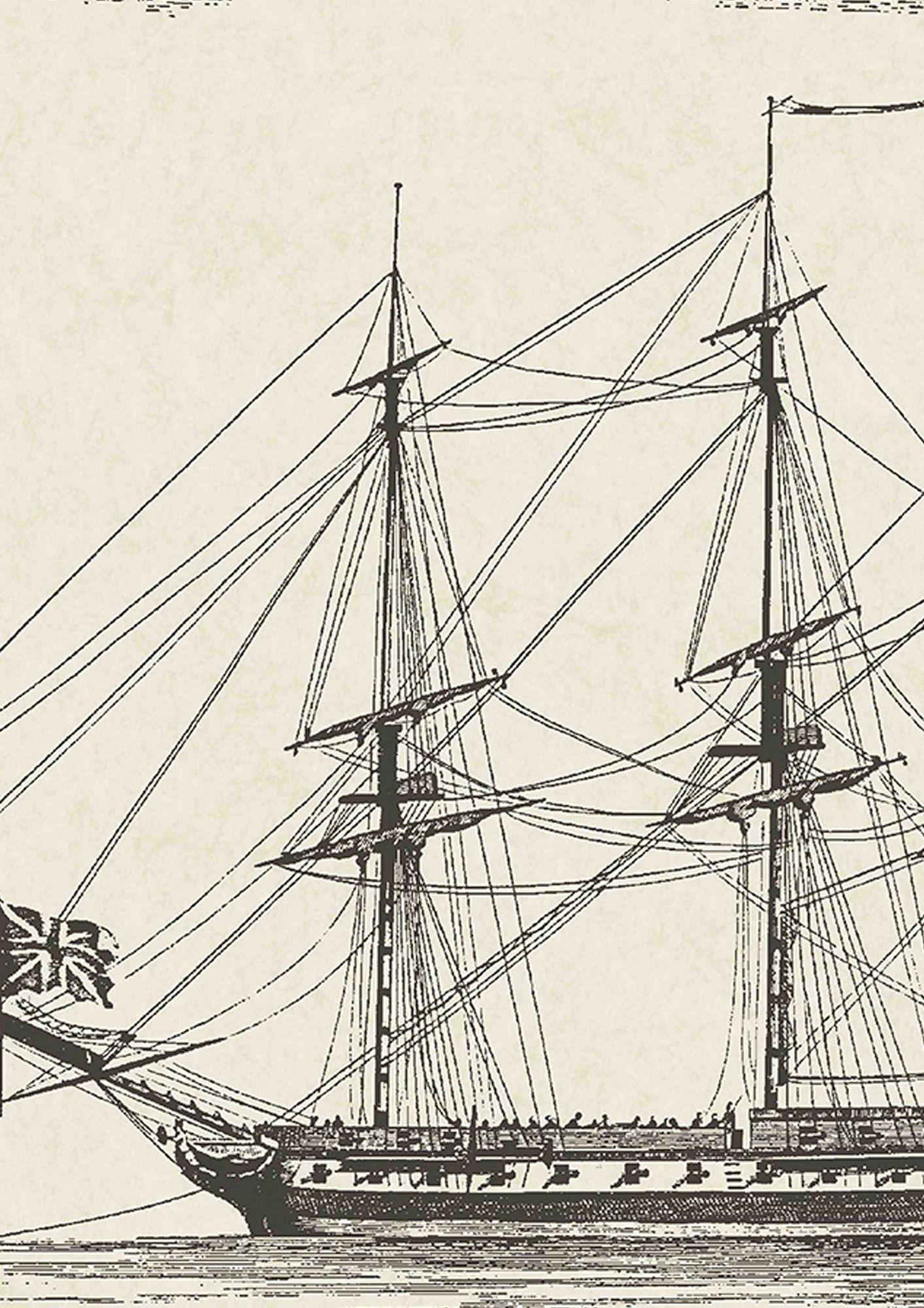 LW 75 37 Maritime Soft Black Wallpaper by Lewis & Wood
