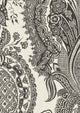Saskia Jet History Papers Wallpaper by Lewis & Wood