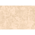 Tizne Beige Aniline Mural by Tres Tintas