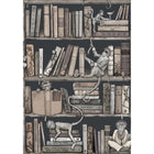 BMCF003/08B Monkey Library Taupes Wallpaper by Brand McKenzie