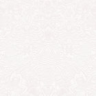 MO4001 Mimic Moth Memento Moooi Plaster Wallpaper By Arte