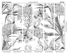 Paradise Flamingo Noir Mural (Medium) by Origin Murals