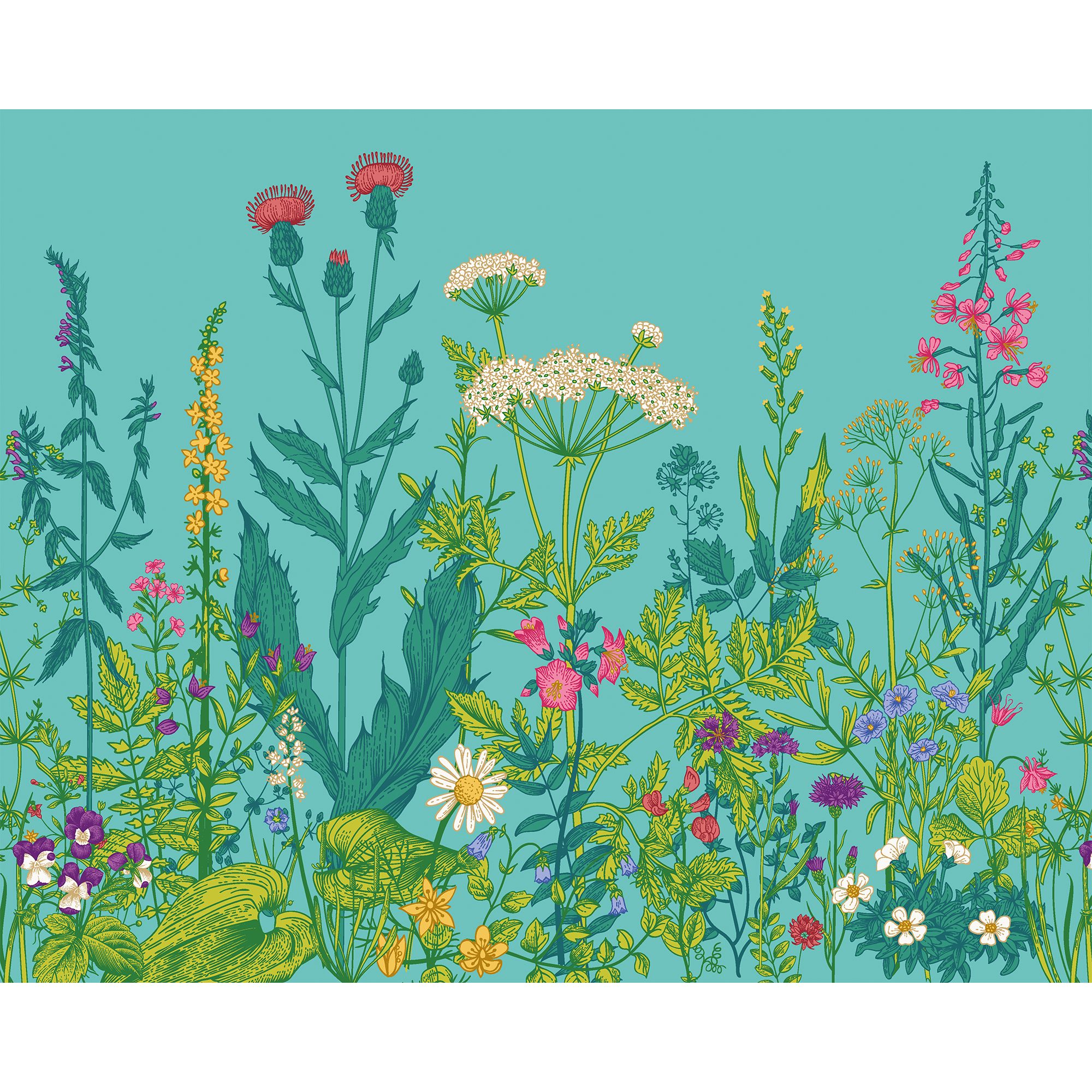 Botanical Fleur Peacock Mural (Medium) by Origin Murals