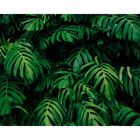 Rainforest Leaves Emerald Mural (Large) by Origin Murals