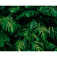 Rainforest Leaves Emerald Mural (Large) by Origin Murals