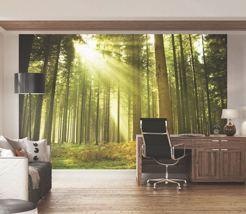 Spruce Forest Evergreen Mural (Medium) by Origin Murals