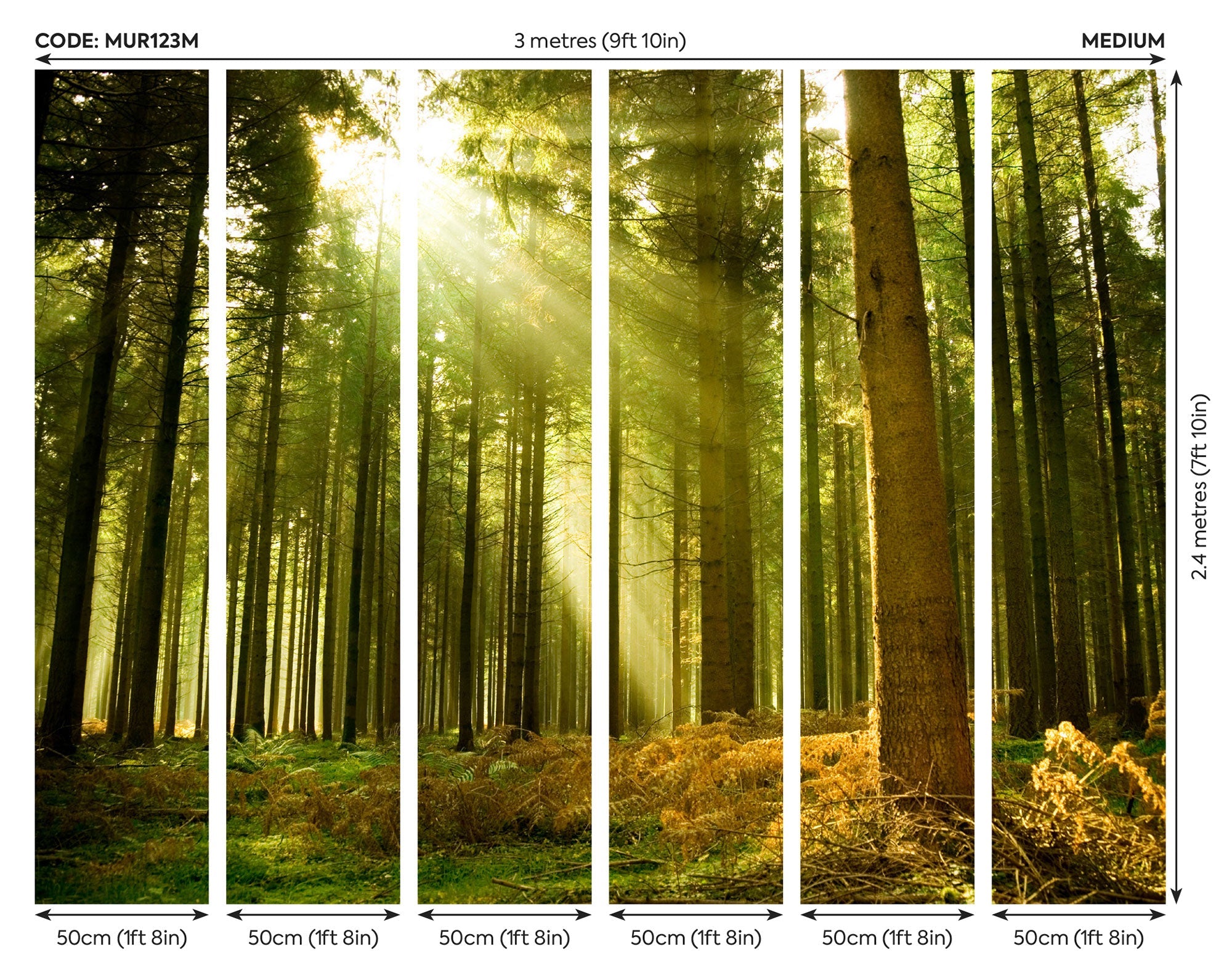 Spruce Forest Evergreen Mural (Medium) by Origin Murals
