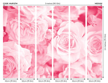 Petals Rose Pink Mural (Medium) by Origin Murals