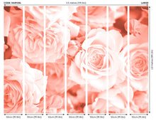 Petals Peach Mural (Large) by Origin Murals