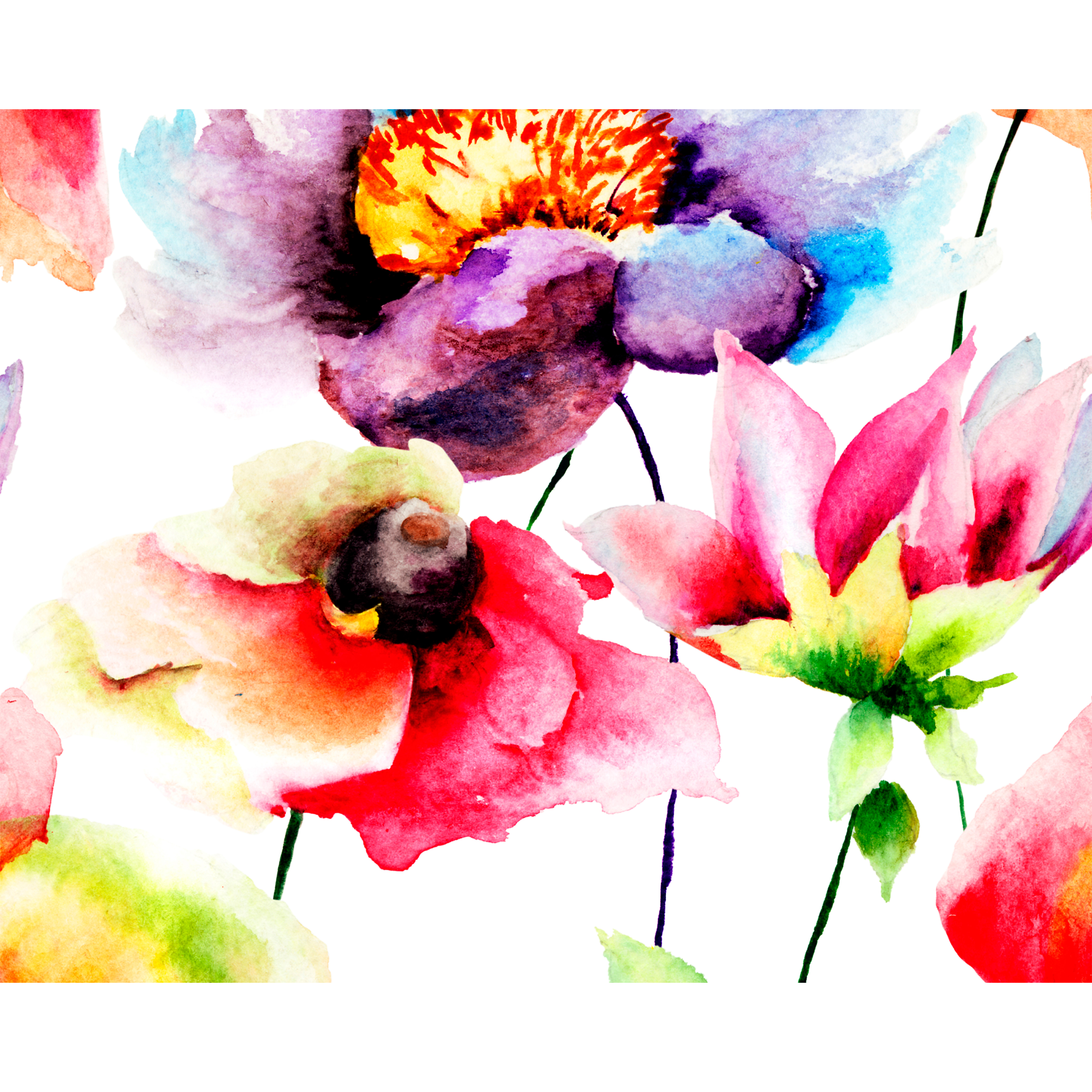 Watercolour Flora Multi Bright Mural (Medium) by Origin Murals