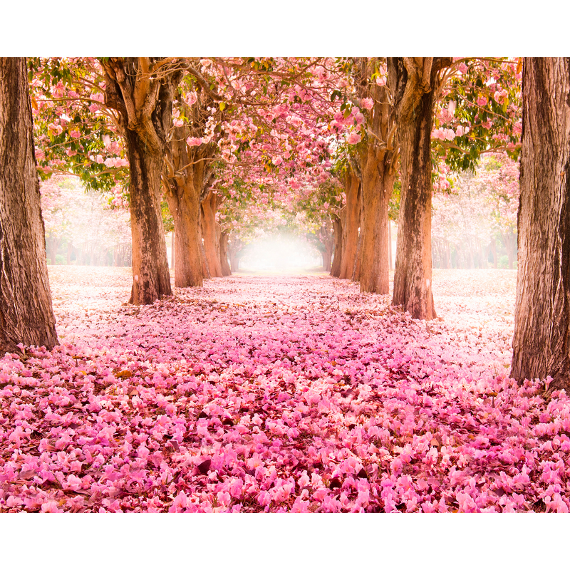 Blossom Trees Rose Pink Mural (Medium) by Origin Murals