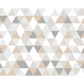 Geometric Natural Mural (Medium) by Origin Murals