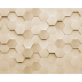 Metal Hexagons Gold Mural (Large) by Origin Murals