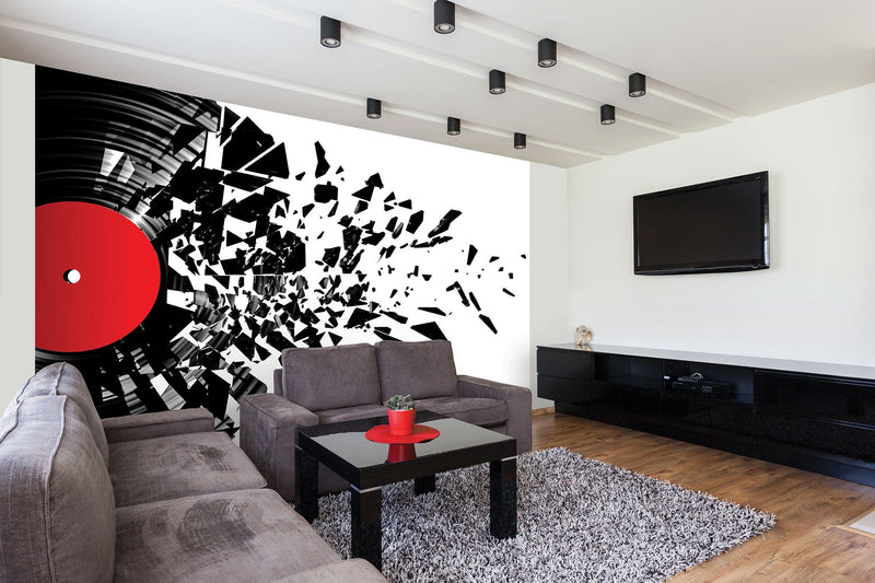 Smashed Vinyl Monochrome Mural (Medium) by Origin Murals