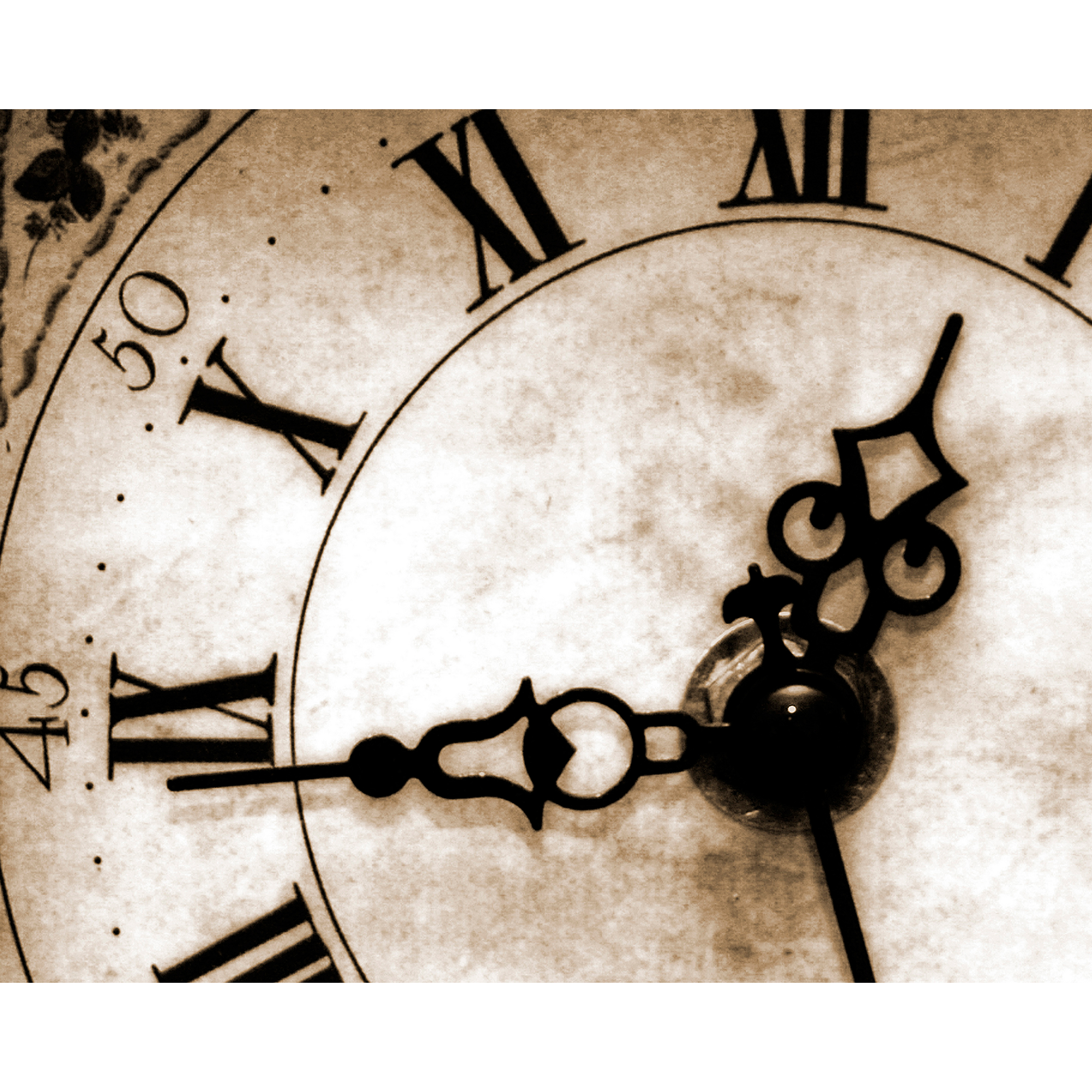 Timepiece Sepia Mural (Large) by Origin Murals