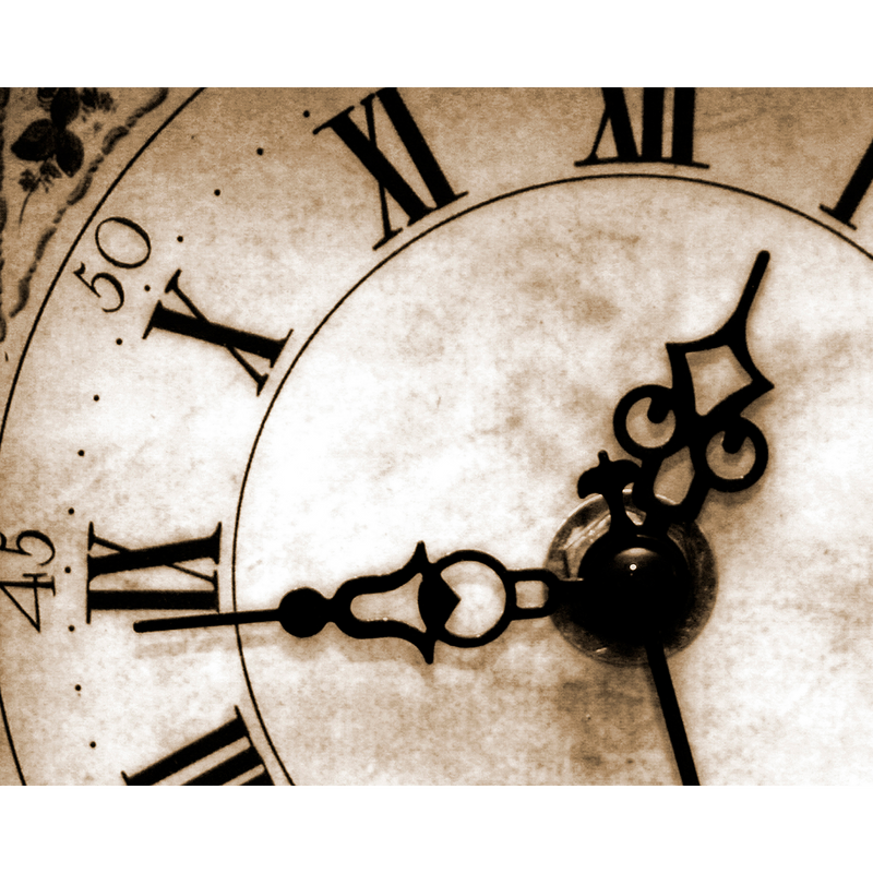 Timepiece Sepia Mural (Medium) by Origin Murals
