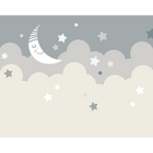 Nighttime Children'S Sky Dove Grey Mural (Medium) by Origin Murals