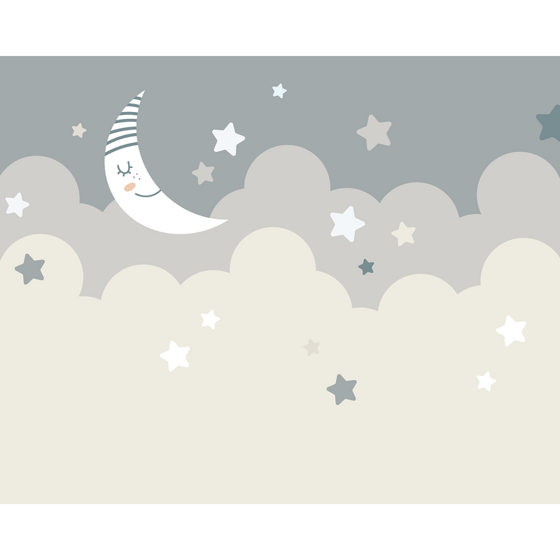 Nighttime Children'S Sky Dove Grey Mural (Medium) by Origin Murals