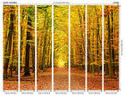 Autumn Forest Spice Mural (Large) by Origin Murals