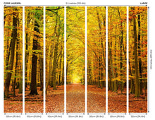 Autumn Forest Spice Mural (Large) by Origin Murals