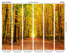 Autumn Forest Spice Mural (Medium) by Origin Murals