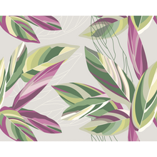 Botanical Calathea Leaves Grey Mural (Large) by Origin Murals